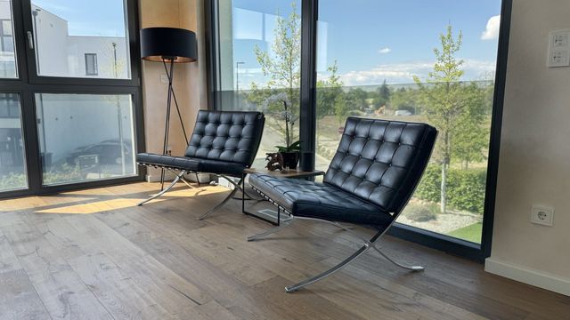 Business and residential in Mannheim