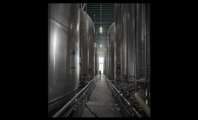 Douro and Porto Winery