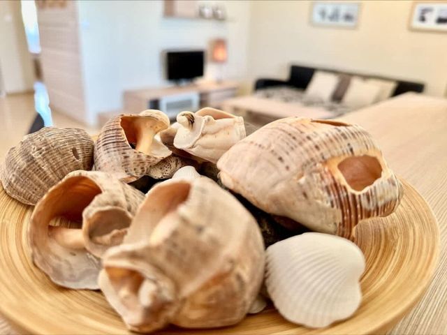 Cozy Aheloy   Marina Cape  Sea view 2 bedroom