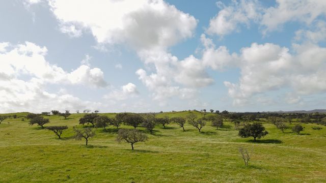 Casa da Volta — Contemporary Walled Villa with Courtyards & Exceptional Natural Light