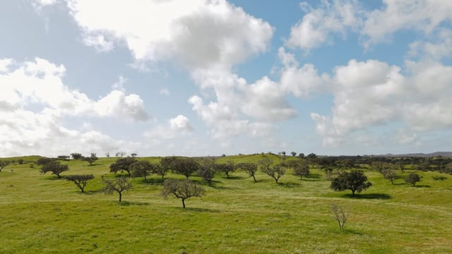 Casa da Volta — Contemporary Walled Villa with Courtyards & Exceptional Natural Light