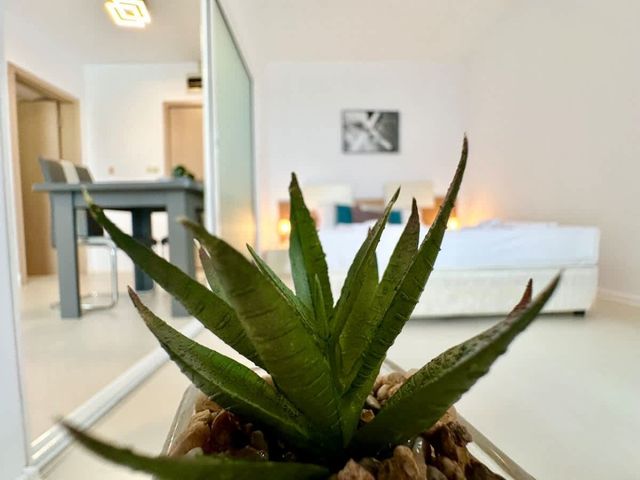 Cozy  pool view apartment on complex Rainbow 3