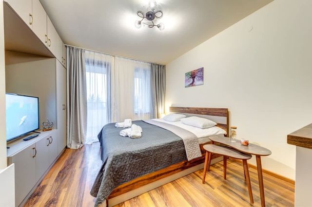 Cozy Studio in Grand Resort Pamporovo