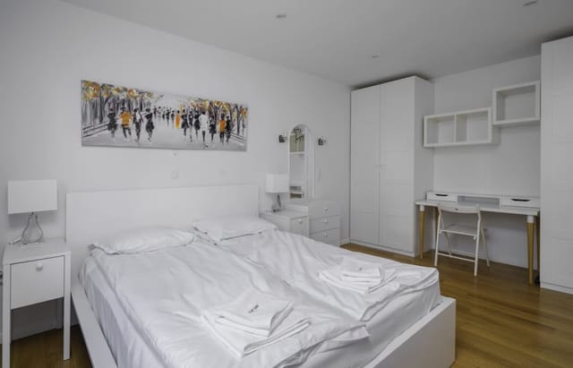 Bright & Cozy 1BD Apartment close to South Park