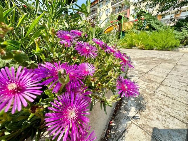 Cozy Chateu Aheloy 2  family studio