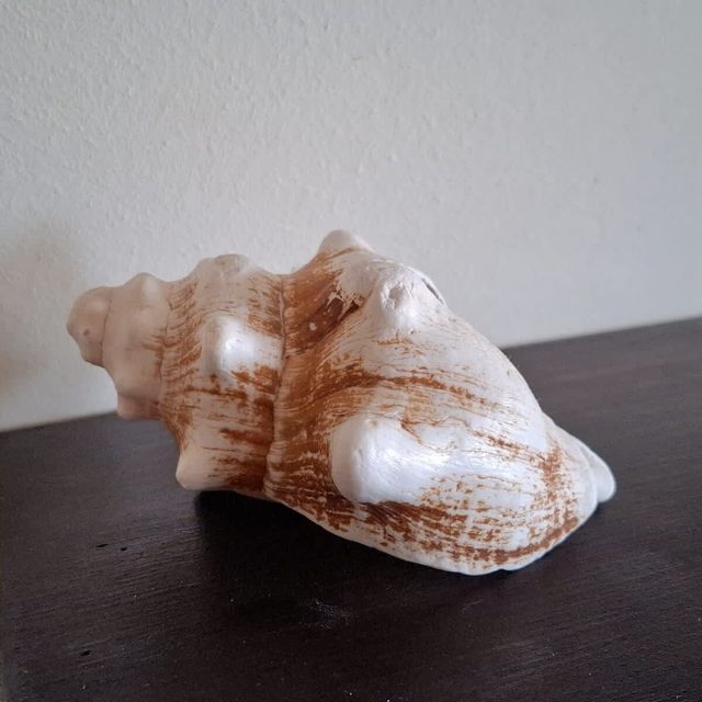 Stunning Sea View Studio in Elenite