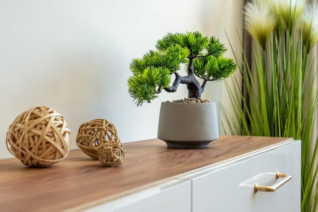 Golden Mountains - Photo 3