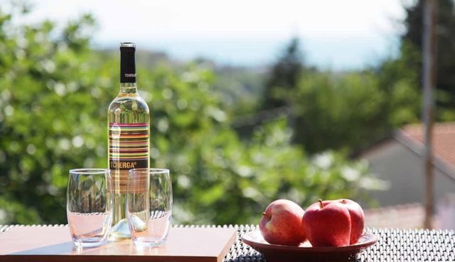 Musica ~ 6BD Private Villa in Balchik