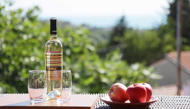 Musica ~ 6BD Private Villa in Balchik