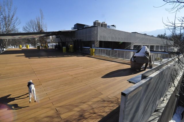 Center for contemporary arts TOPLOCENTRALA