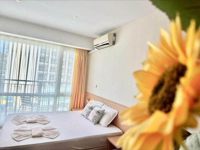 Miramar Palace Family Studio