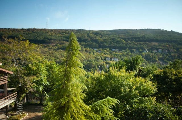 Musica ~ 6BD Private Villa in Balchik