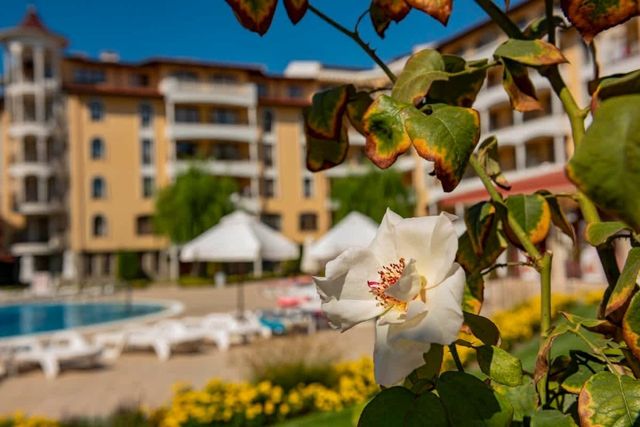 Cozy 1 bedroom apartment in Royal Sun