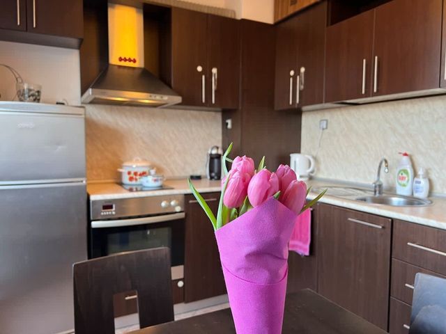 Donna's Apartment 1 Bedroom at Lozenets district