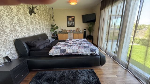 Business and residential in Mannheim