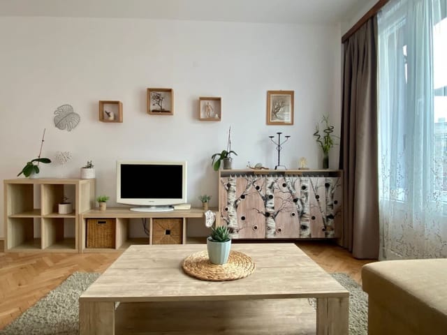 Lovely apartment in the heart of Sofia