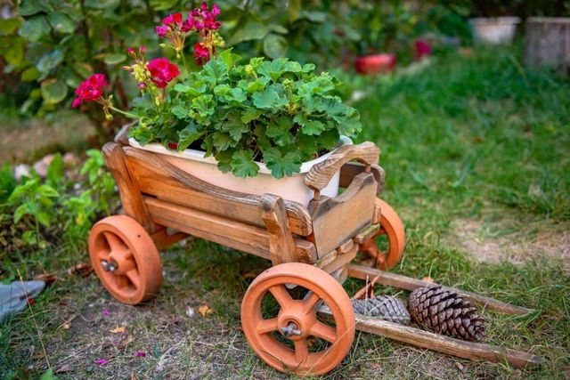 Sunny Day 6 Family Studio