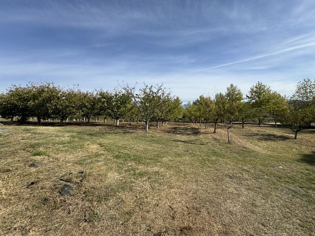 Zornitza Family Estate - Farm