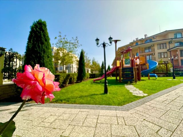 Cozy studio in Sea Dreams