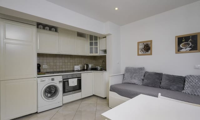 Bright & Cozy 1BD Apartment close to South Park