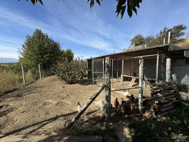 Zornitza Family Estate - Farm