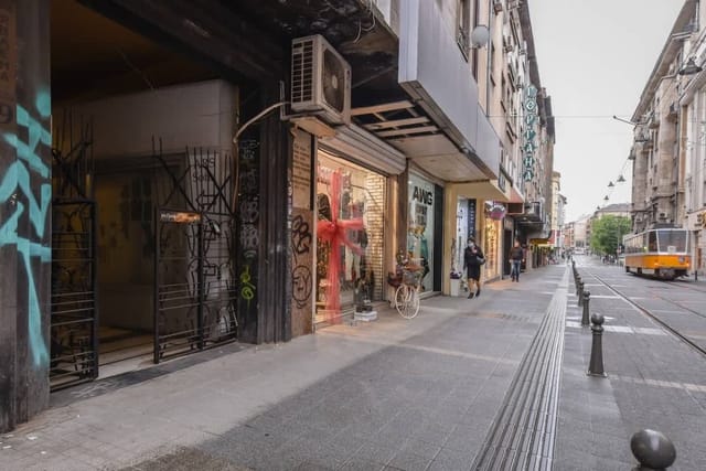 Sofia Dream Apartments - 3BD, 2BTHR - The Library