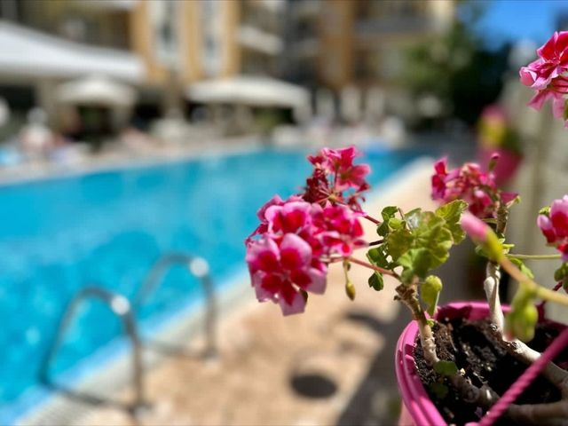 Cozy - Blue Marine - big 2-bedroom for 5 people