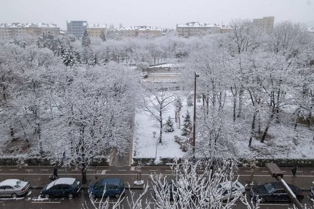 Little HoMe with a Park View
