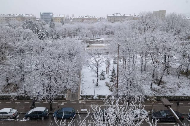 Little HoMe with a Park View