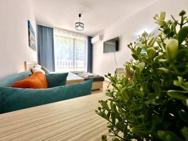 Cozy studio for family in Royal Sun