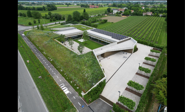 The Orangeale Factory