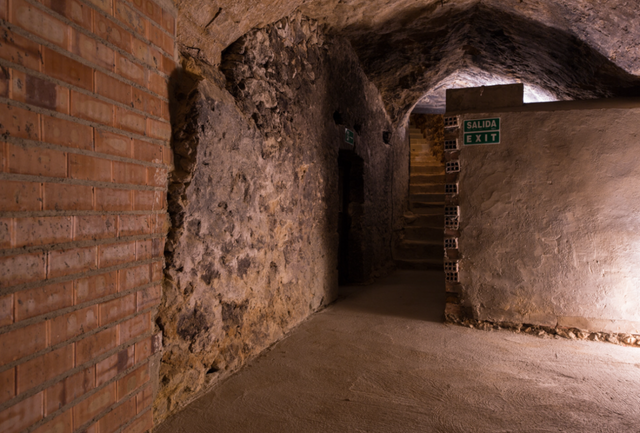 Dominio del Pidio Winery