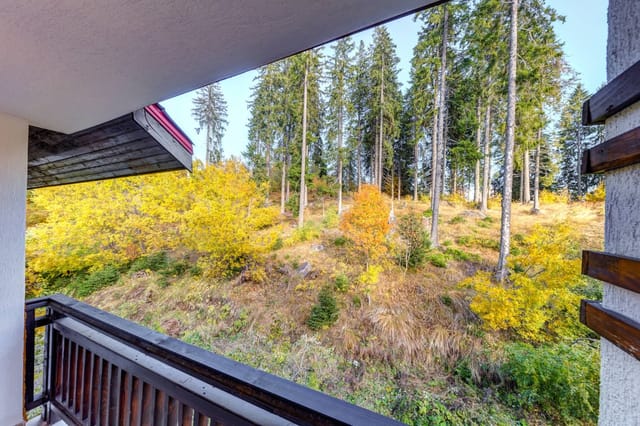 Alpine Escape at Dream View