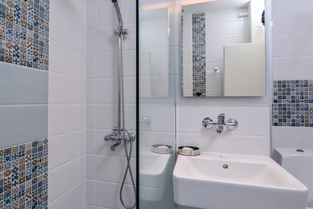 Comfortable One Bedroom Apartment in Zona B5