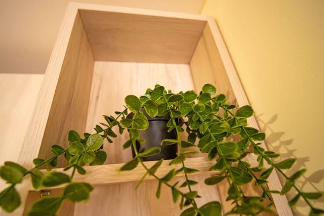 The Sea Balcony - 1BD Apartment by Flat Manager