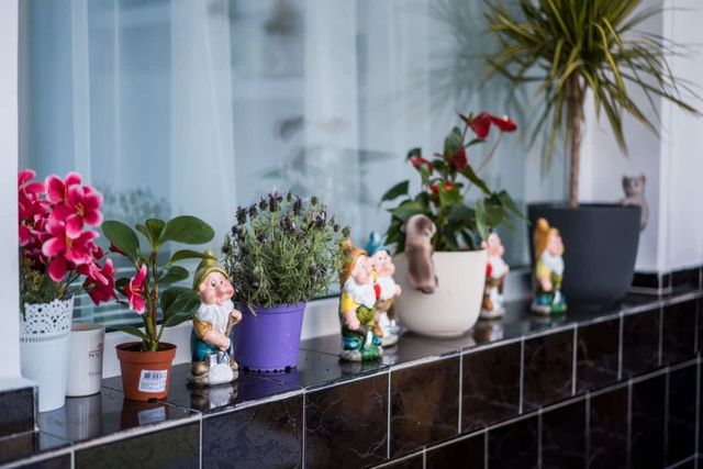 Black Sea 2bdrm Central Apartment