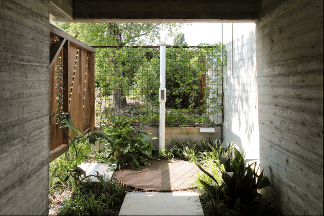 Il Brolo della Cantina Gorgo Winery