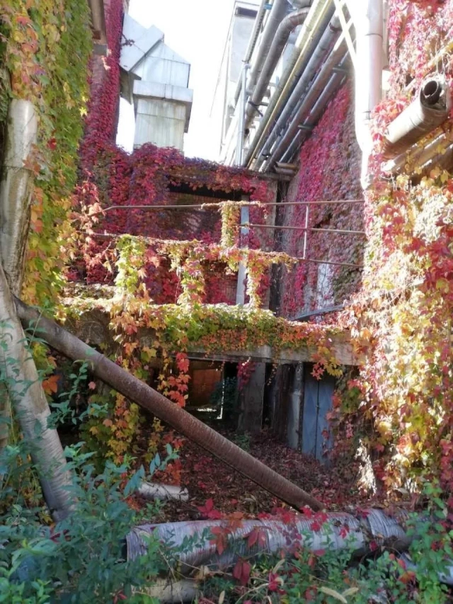 Beautiful Abandoned Factory