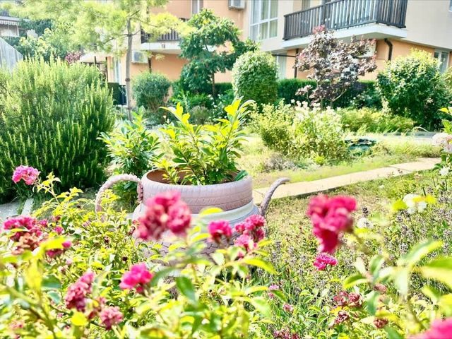 Cozy Chateu Aheloy 2  family studio