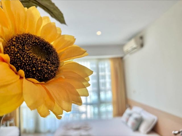 Miramar Palace Family Studio