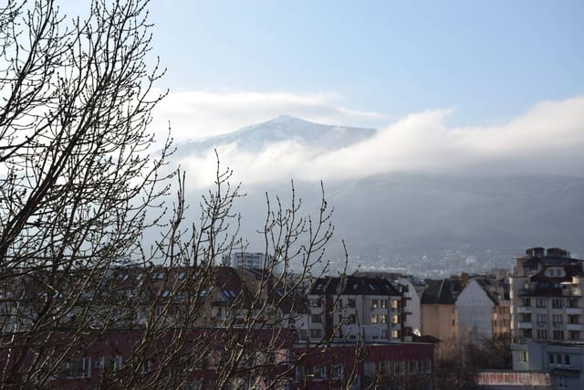 Bright & Cozy 1-Bedroom with Stunning Vitosha View