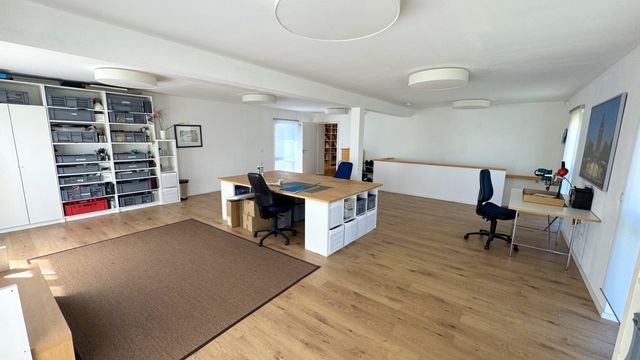 Business and residential in Mannheim