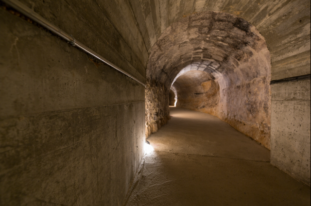 Dominio del Pidio Winery