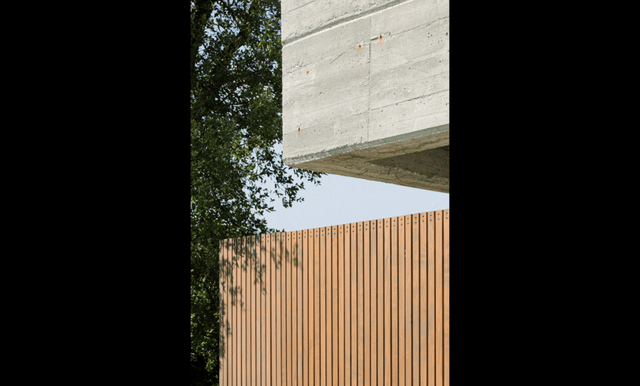 Il Brolo della Cantina Gorgo Winery