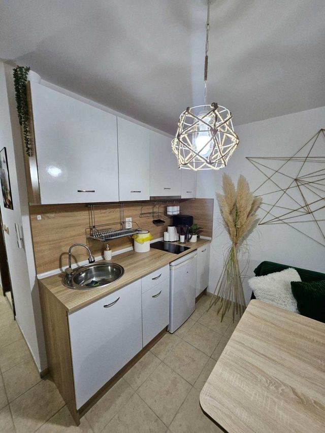 Tropical Chic for Two – Basement Studio  Escape