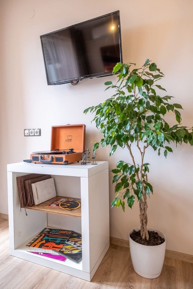 JAZZY off Vitosha Blvd: Feel the Rhythm of Sofia