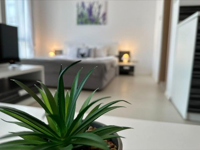 Cozy Rainbow 3  studio pool view