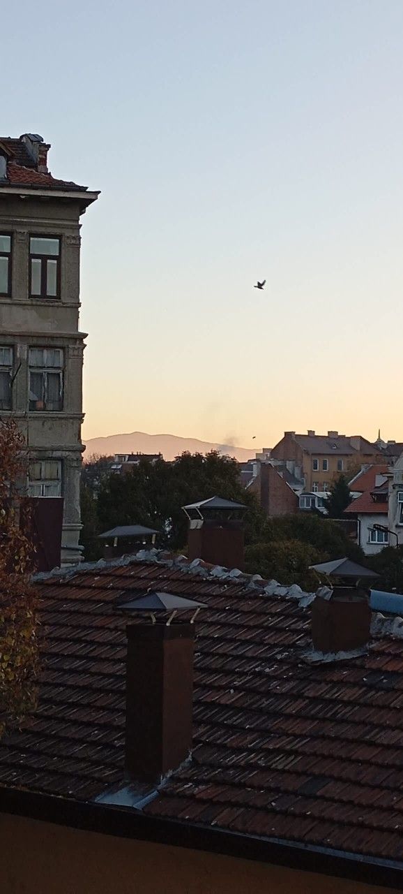 TERRA Design /Award-Winning Apartment/