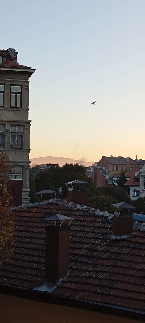 TERRA Design /Award-Winning Apartment/