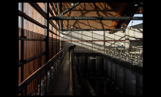 Douro and Porto Winery